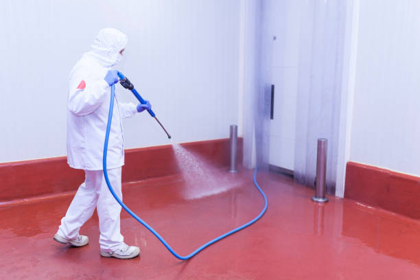 Trusted Piperton, TN Pressure Washing Experts